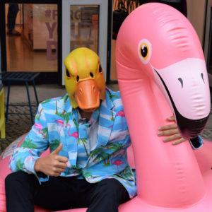 Ingo ohne Flamingo macht sich bereit für den Karneval